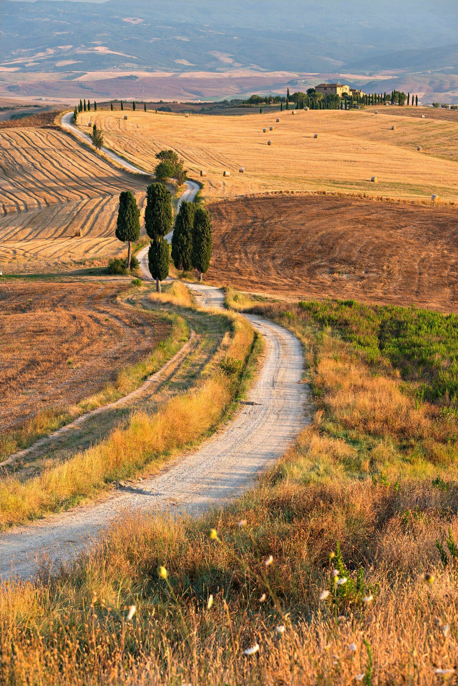 Chemin doré