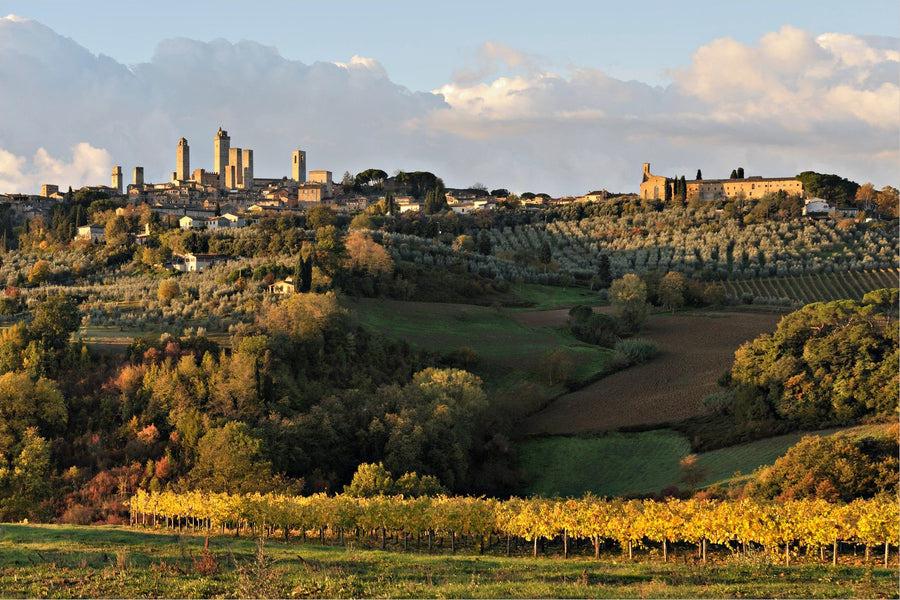 Golden San Gimignano