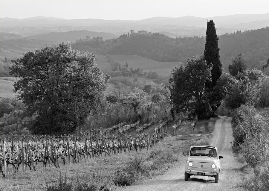 Viaggio tra le vigne
