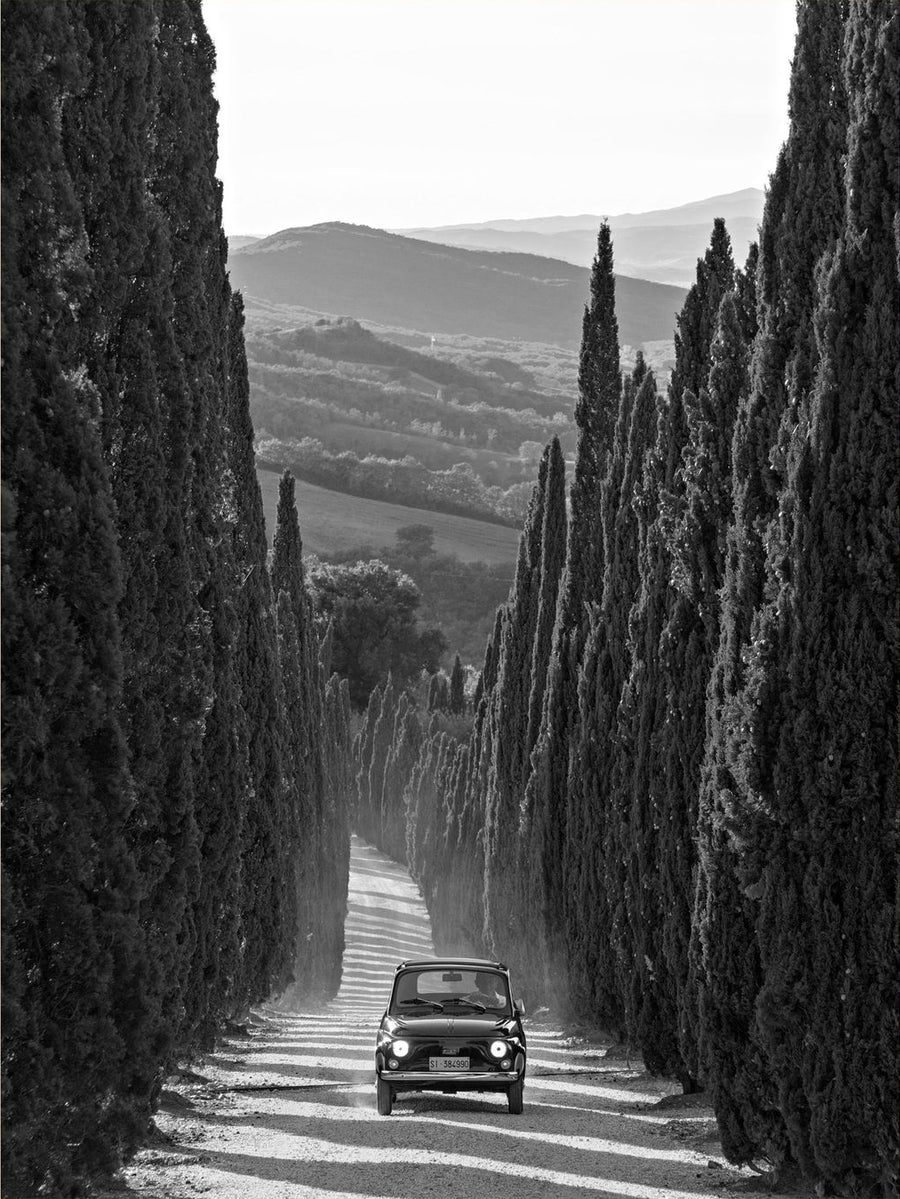 La Dolce Vita
