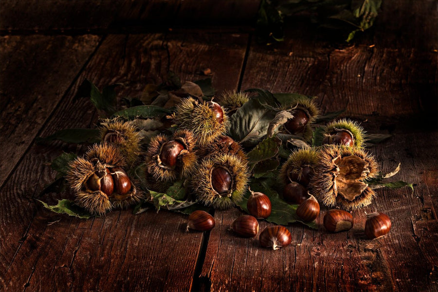 Memory of Chestnut