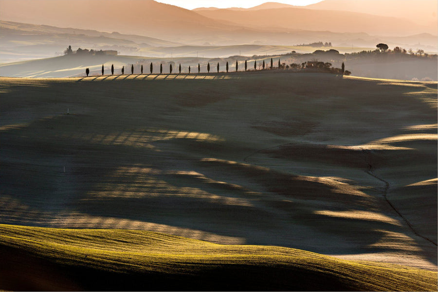 The Golden Ridge