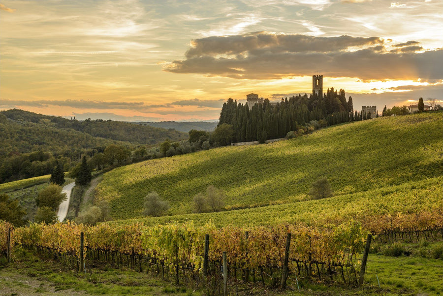 Path of Chianti