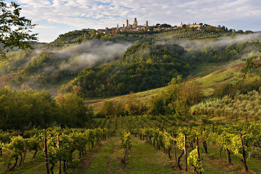 San Gimignano Awakening