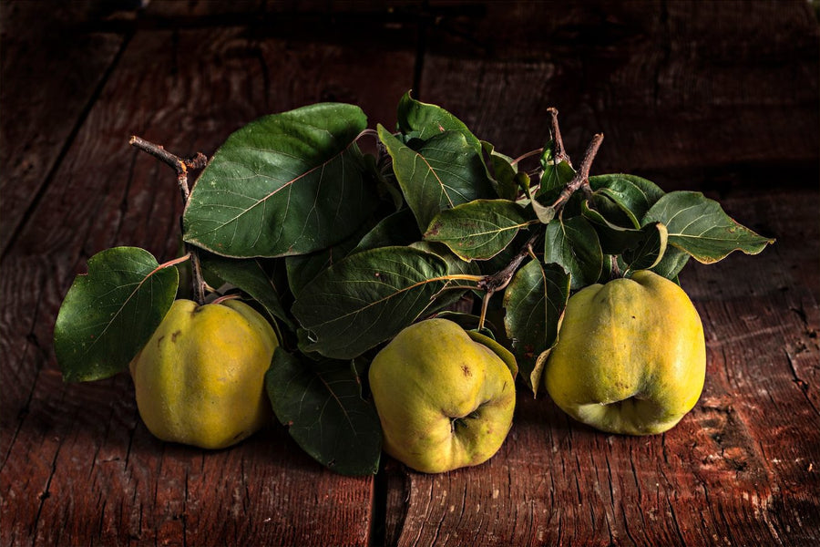 Soul of the Quince
