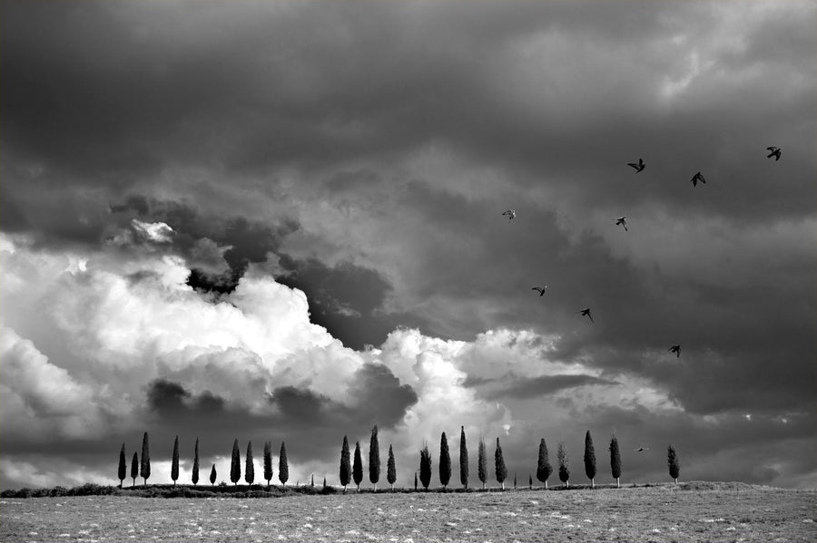 Il canto del cielo
