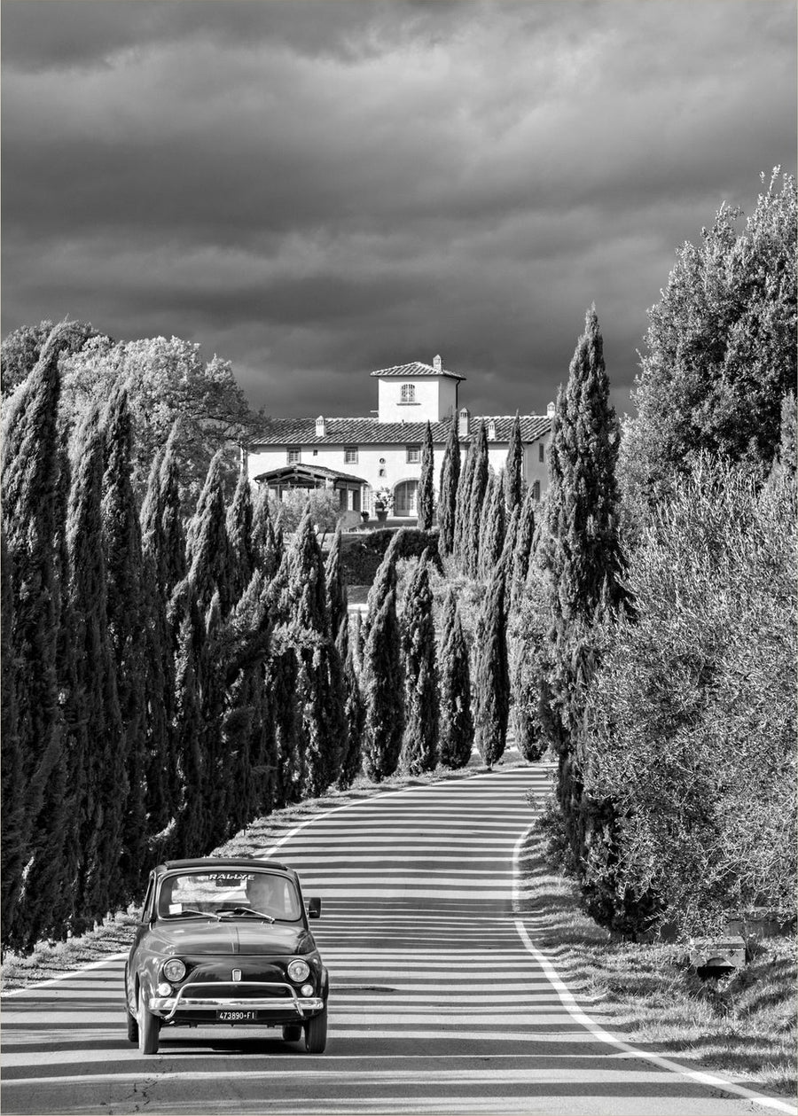 The Cypress Road