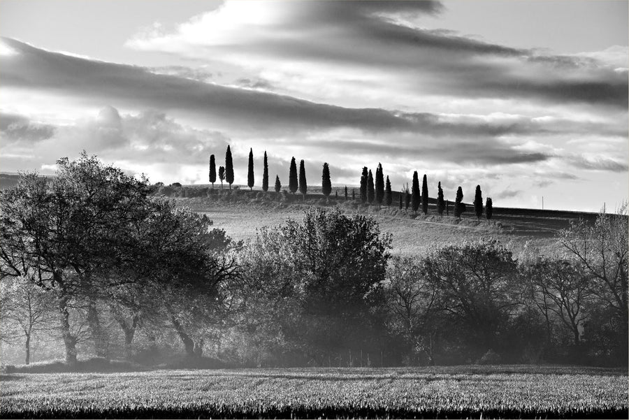 The Hill of Cypresses