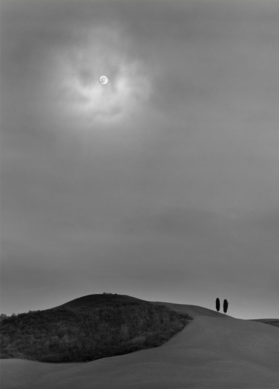 The Moonlight