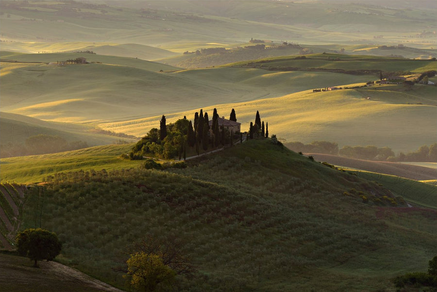 The Suspended Landscape
