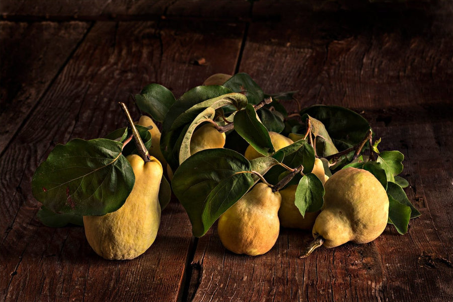 Time of the Quince