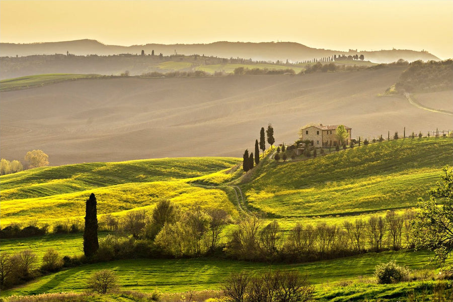 Timeless Countryside