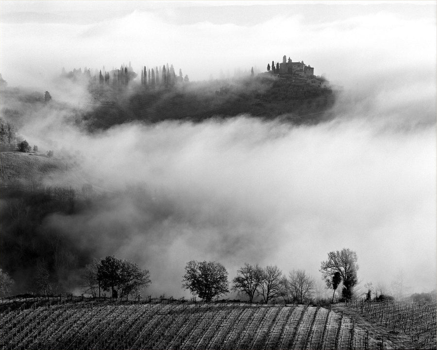 Sussurri nella nebbia