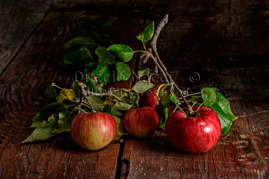 Solitude d'une pomme