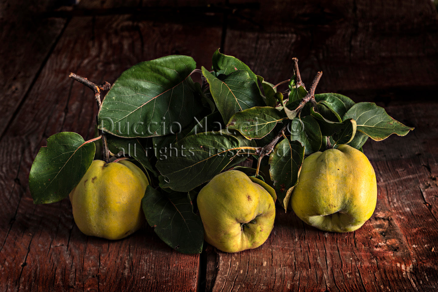 Soul of the Quince - Duccio Nacci
