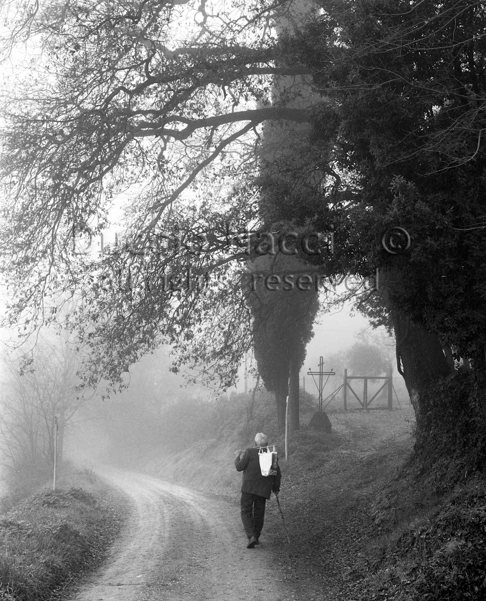 The Wanderer in the Mist - Duccio Nacci