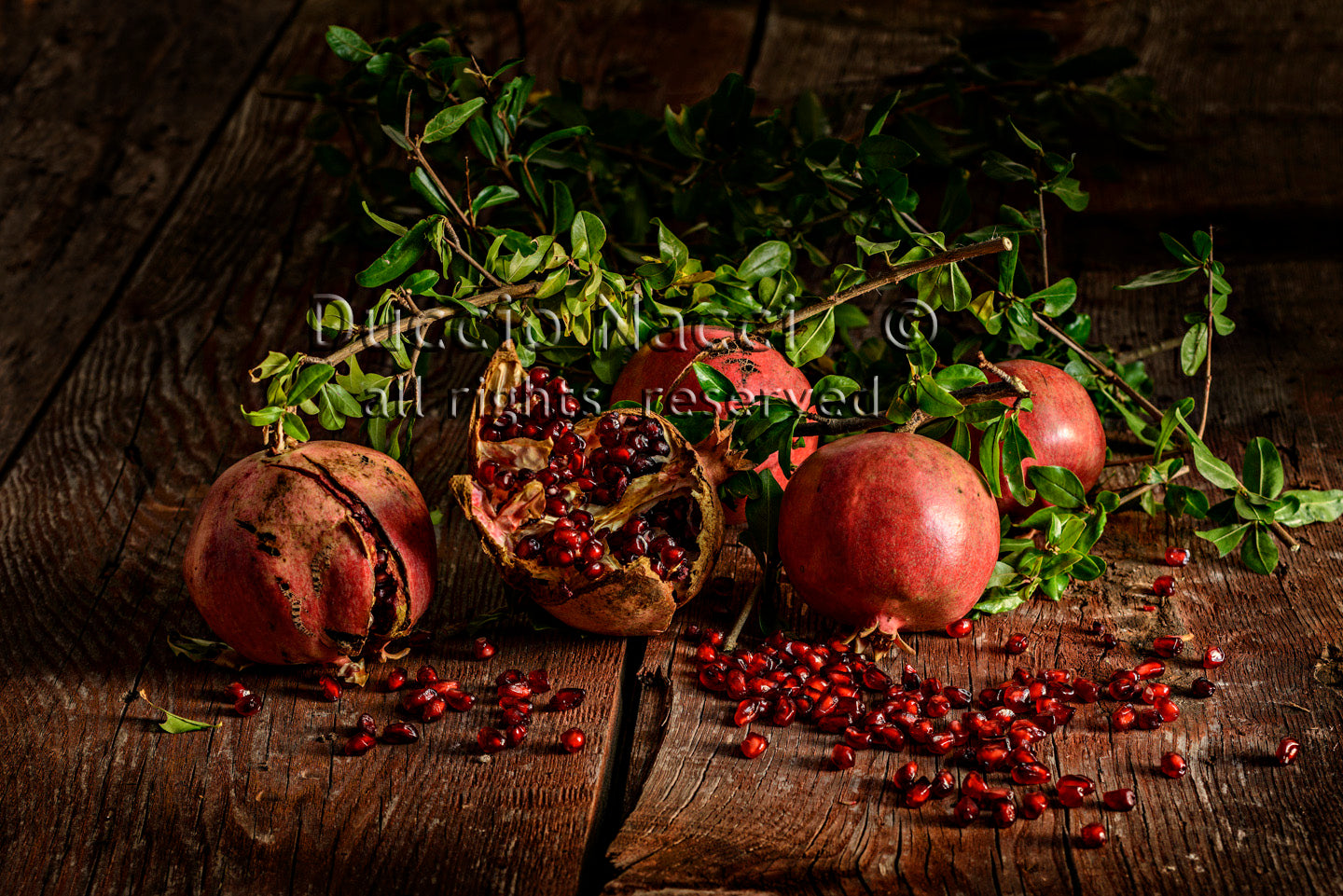 Elegy of the Pomegranate - Duccio Nacci