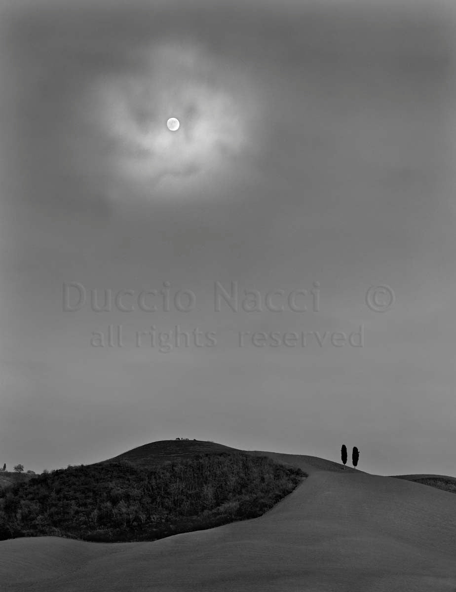 The Moonlight - Duccio Nacci