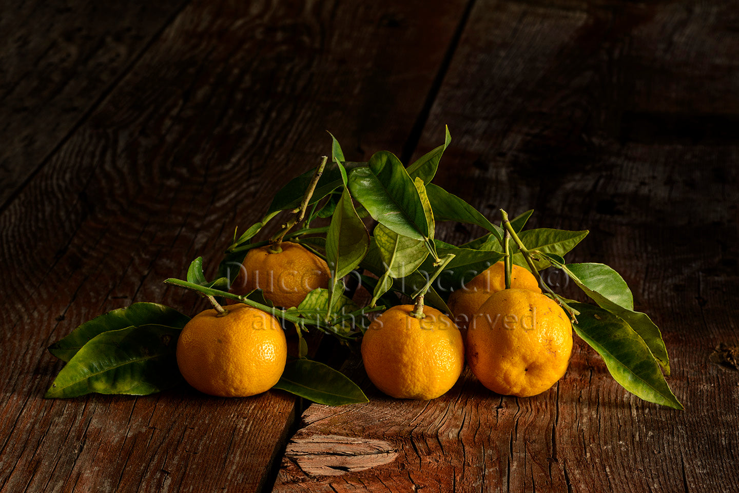 Tangerines - Duccio Nacci
