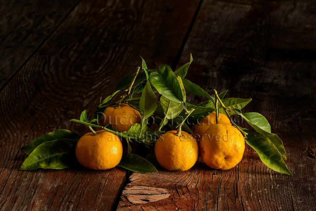 Mandarines - Duccio Nacci