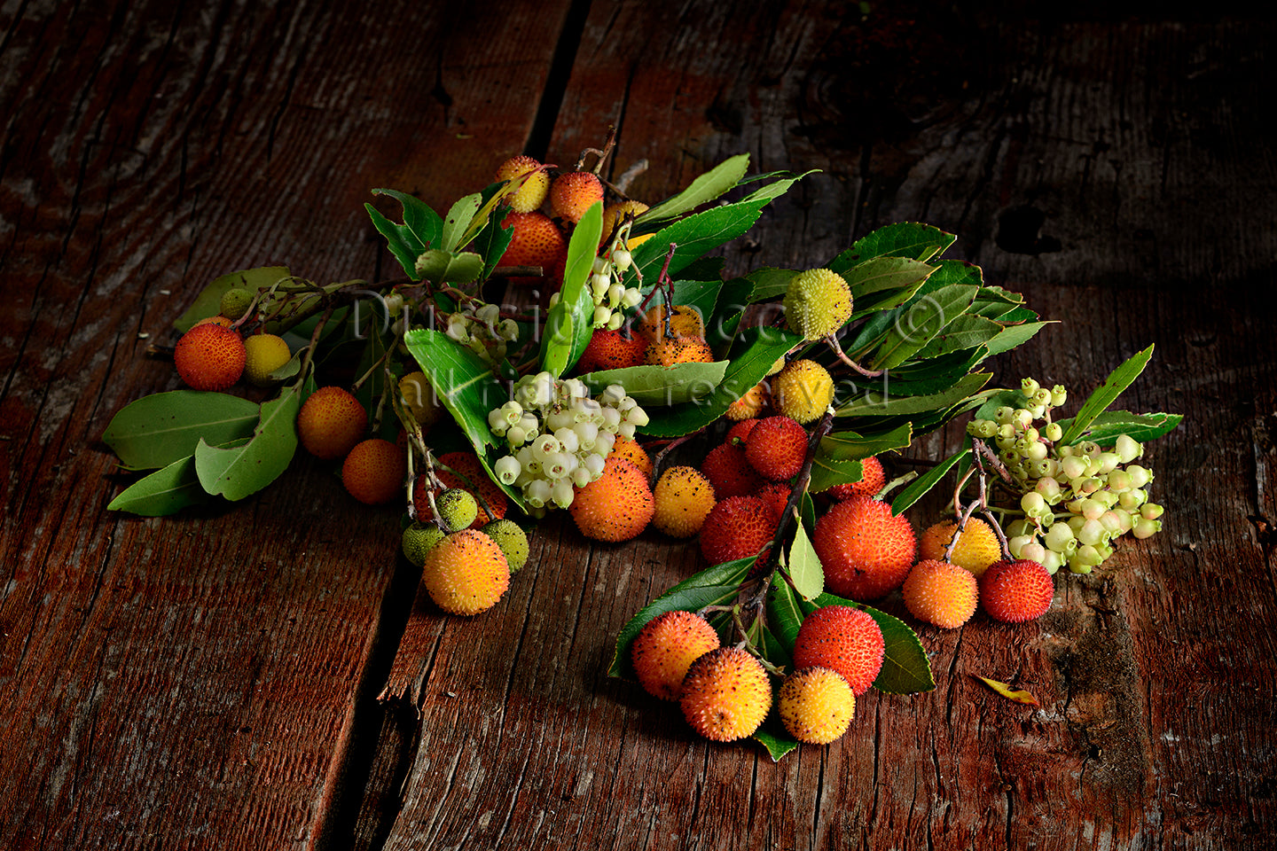 Red oh the Strawberry Tree - Duccio Nacci