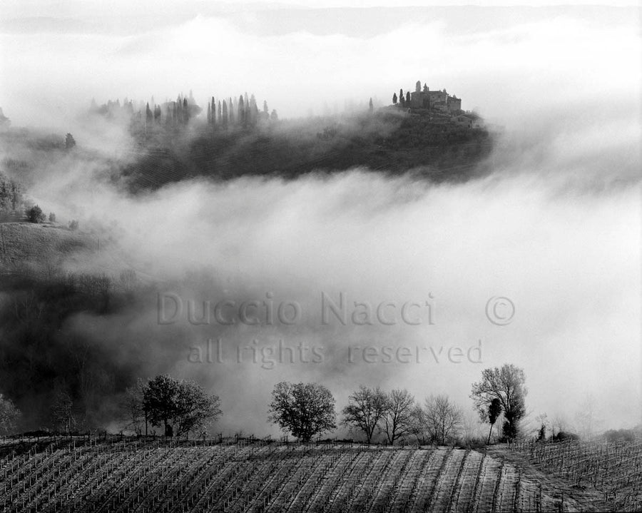 Murmures dans la brume