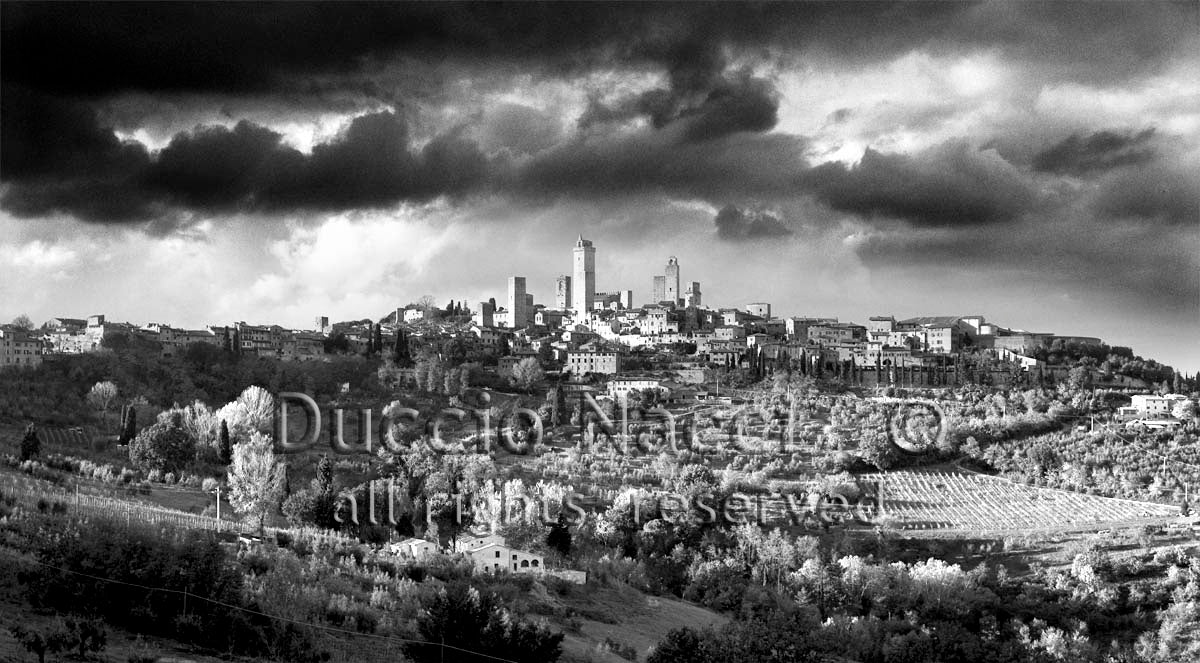 Timeless Towers - Duccio Nacci