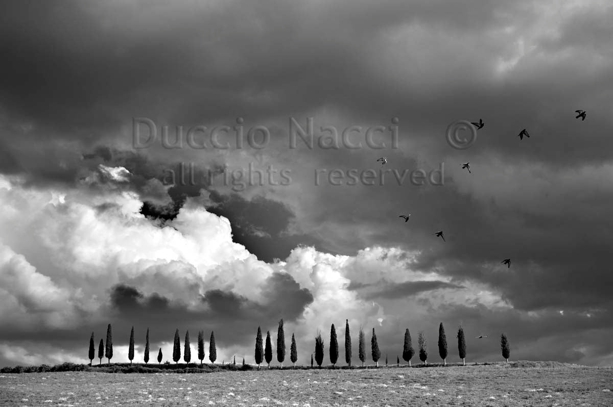 The Chant of the Sky - Duccio Nacci