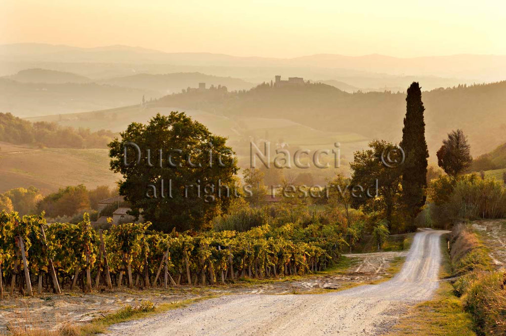 The Road to Strozzavolpe - Duccio Nacci