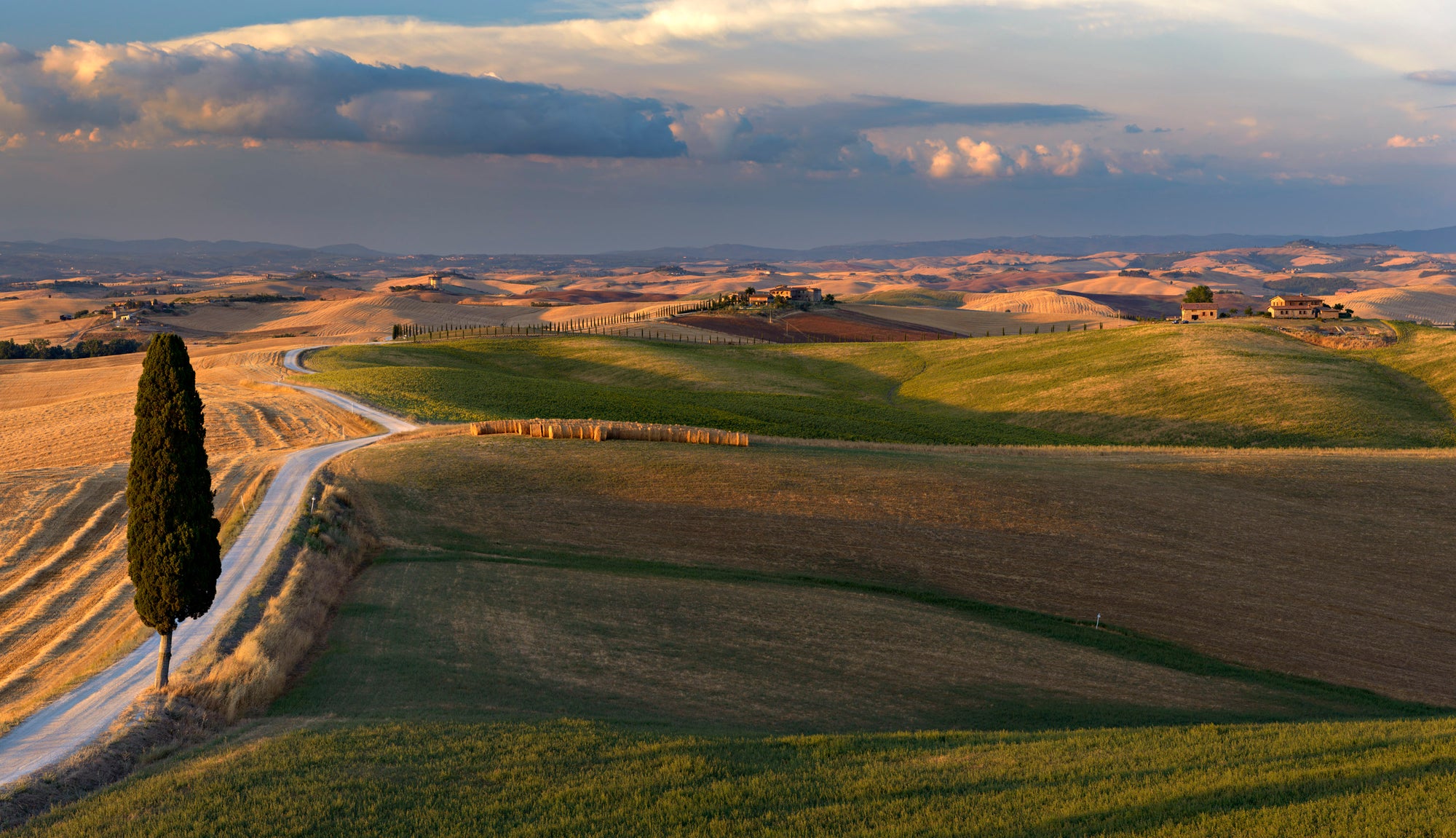 Golden Tuscan Hills - Duccio Nacci