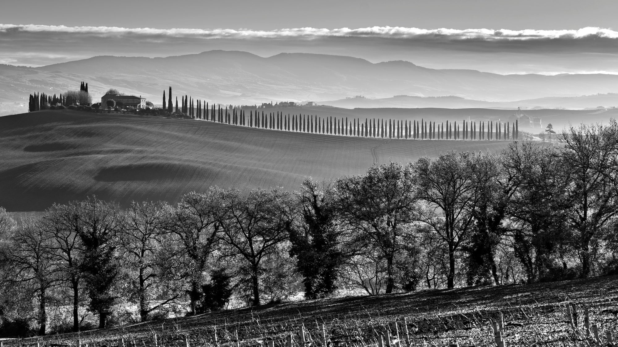Tuscan Silence - Duccio Nacci
