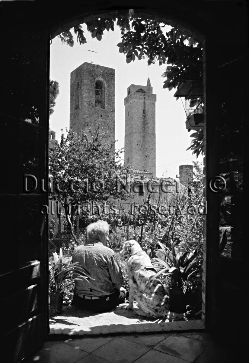 Silent Guardians - Duccio Nacci