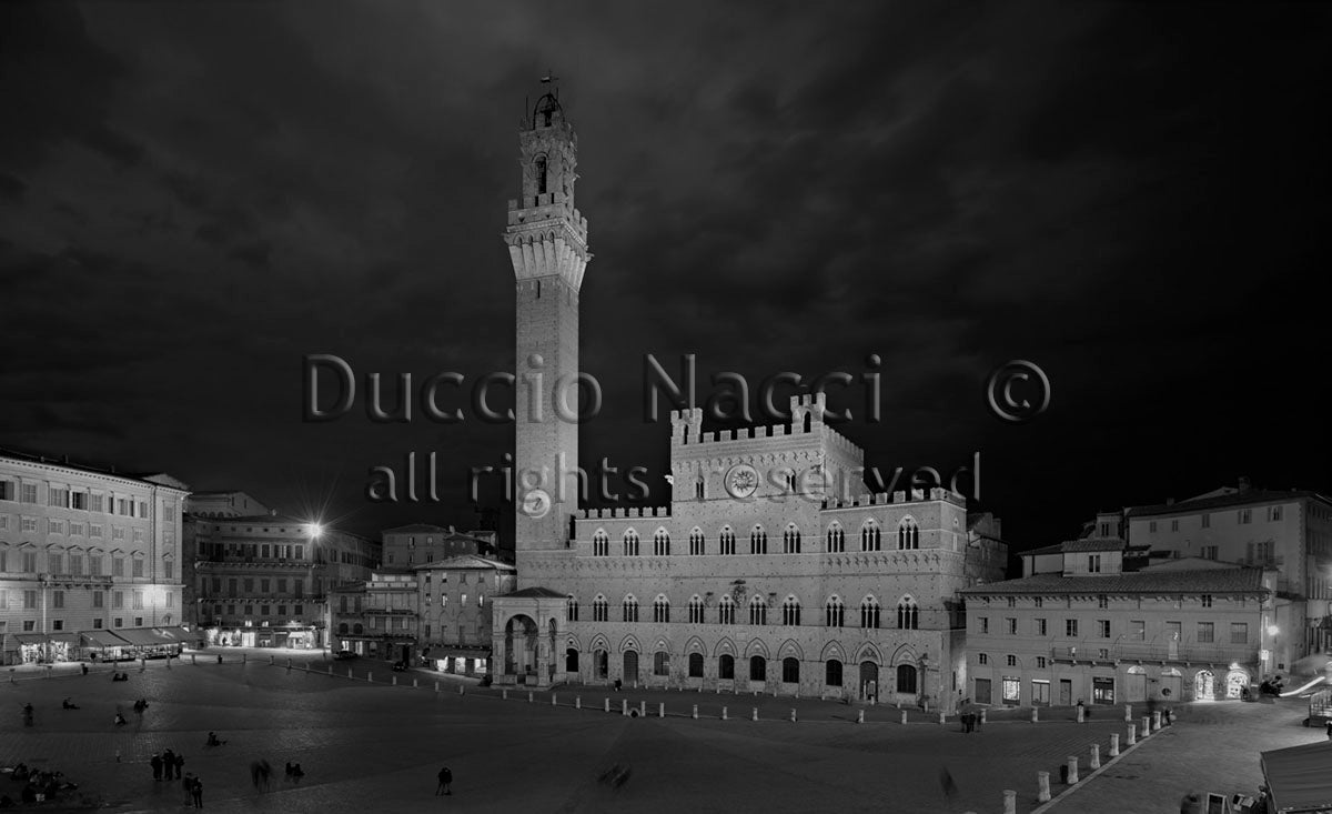 Piazza del Campo - Siena - Duccio Nacci