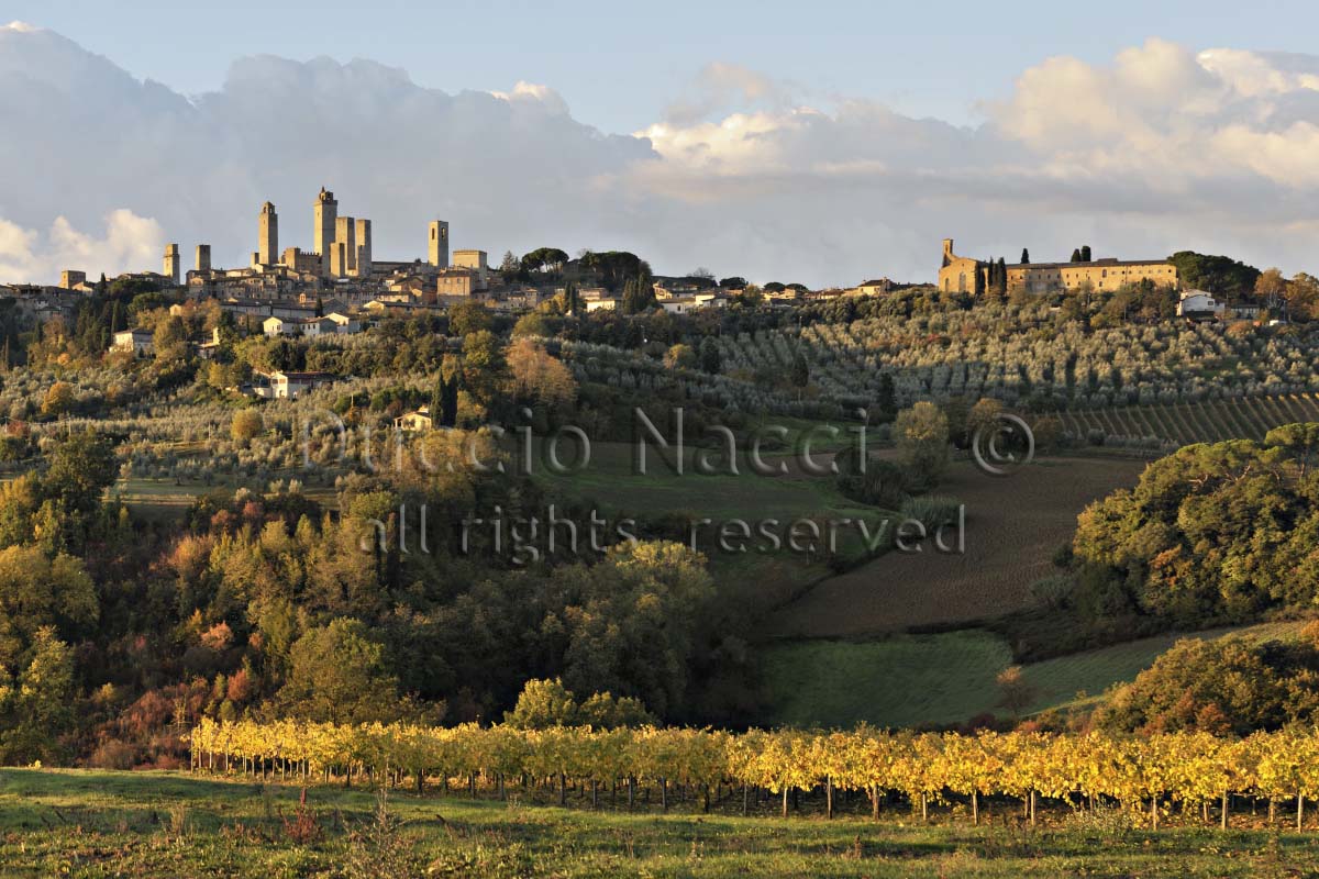 Golden San Gimignano (Copia) - Duccio Nacci