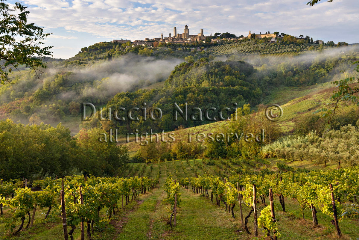 Erwachen in San Gimignano