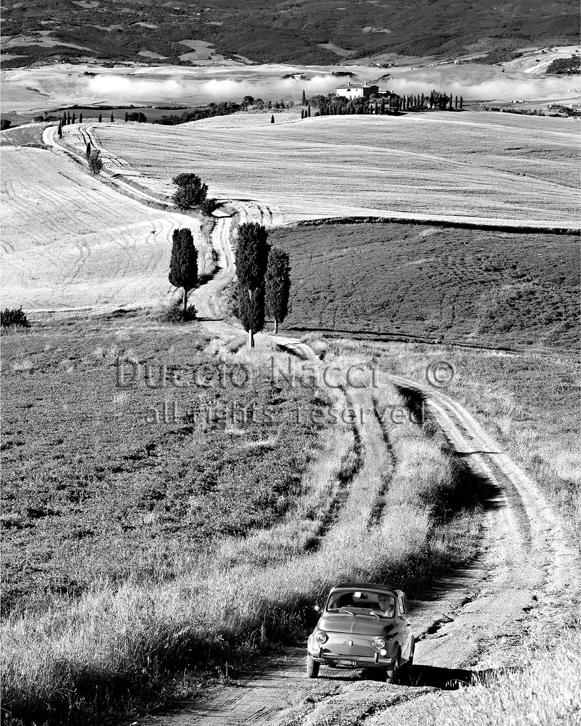 Tuscan Countryside - Duccio Nacci