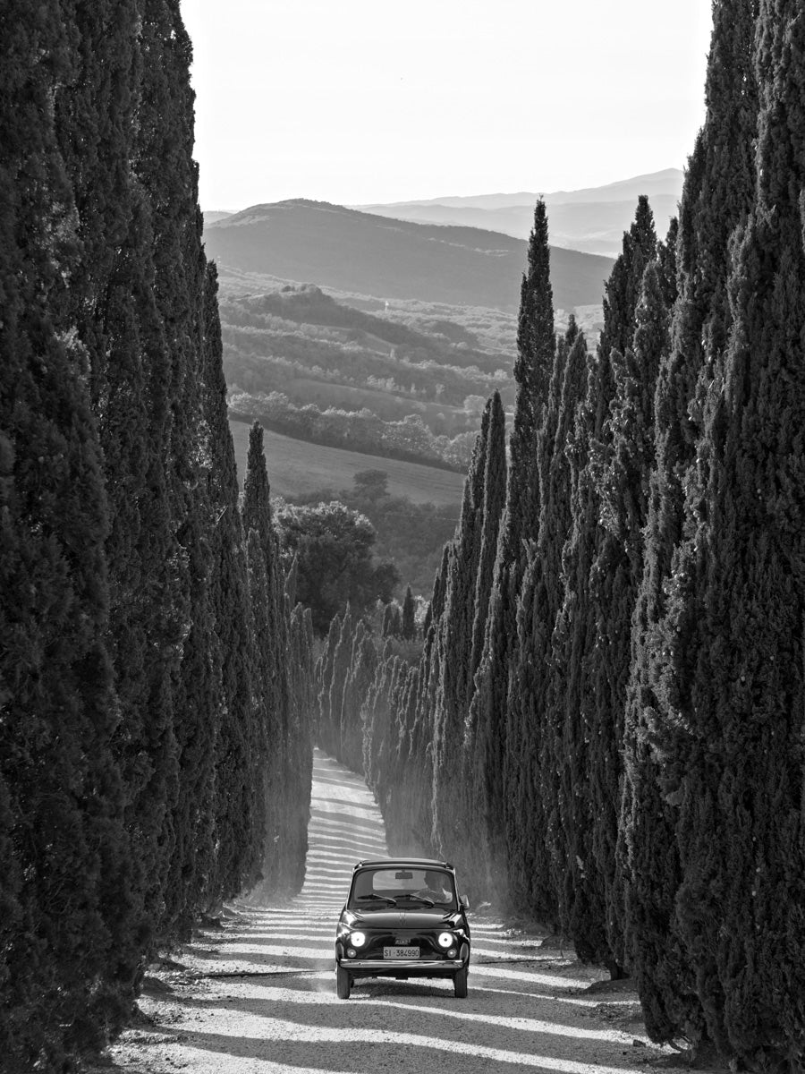 La Dolce Vita - Duccio Nacci