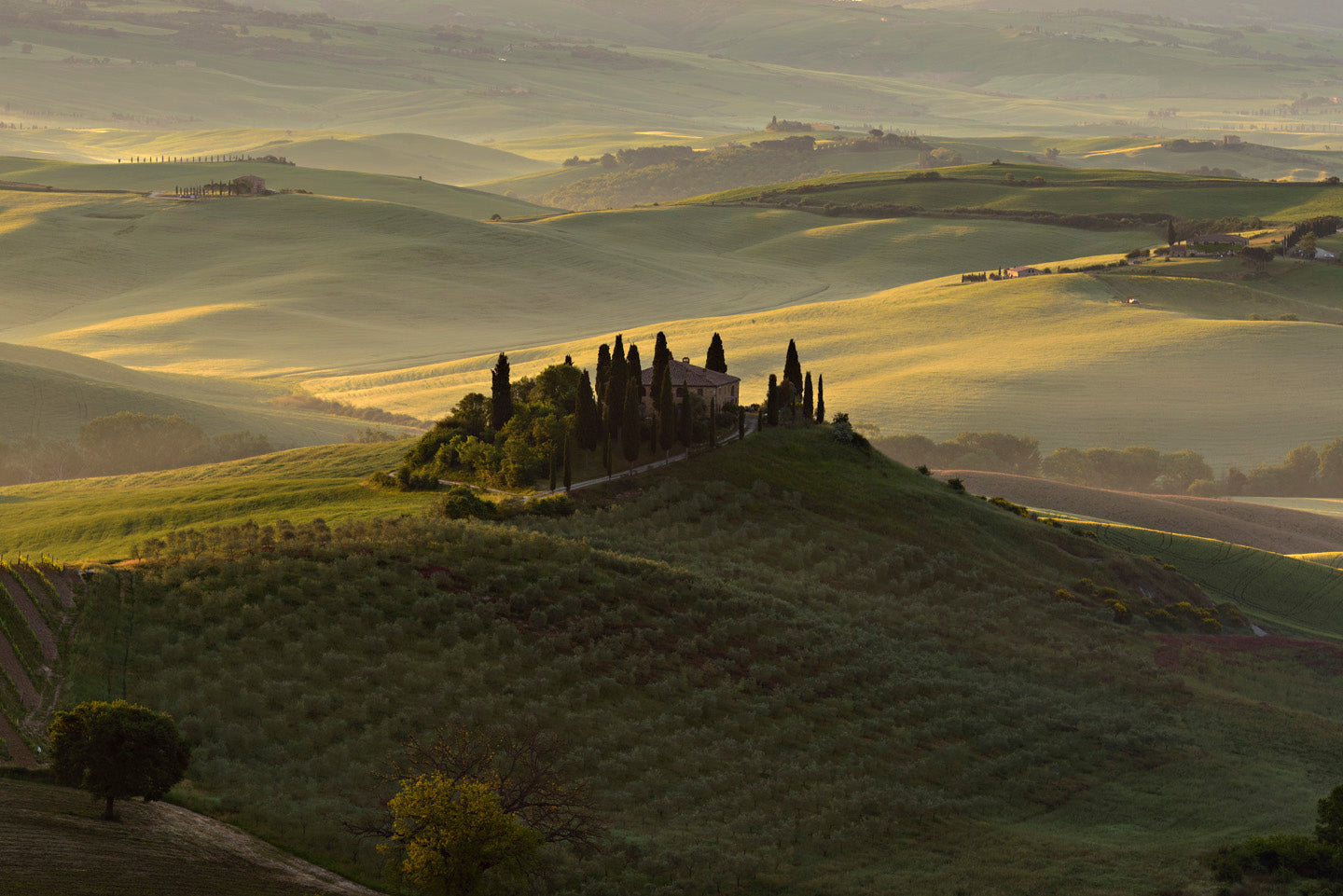 The Suspended Landscape - Duccio Nacci
