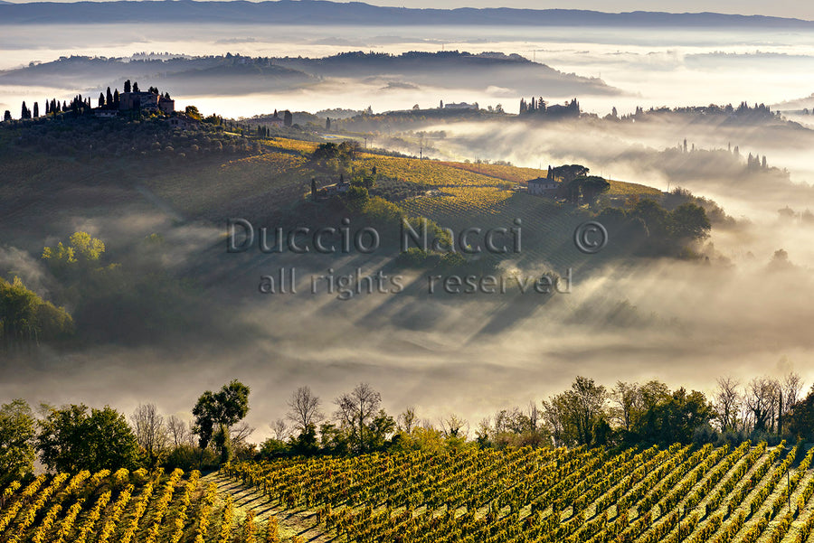 Aube à San Gimignano