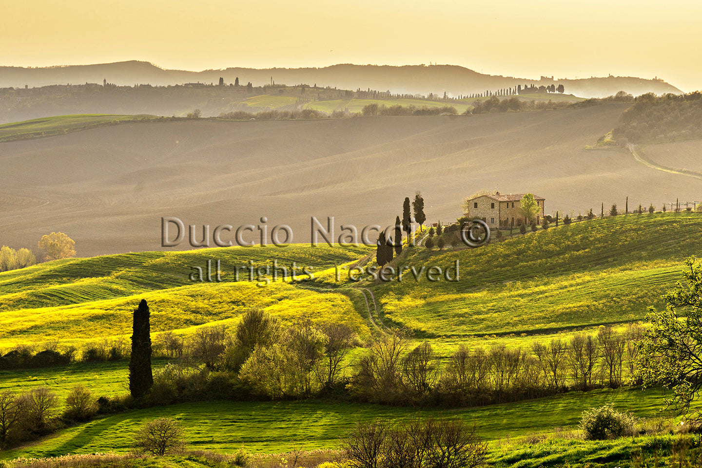 Timeless Countryside - Duccio Nacci