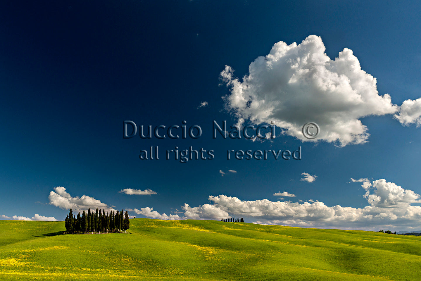 Cypress Island - Duccio Nacci