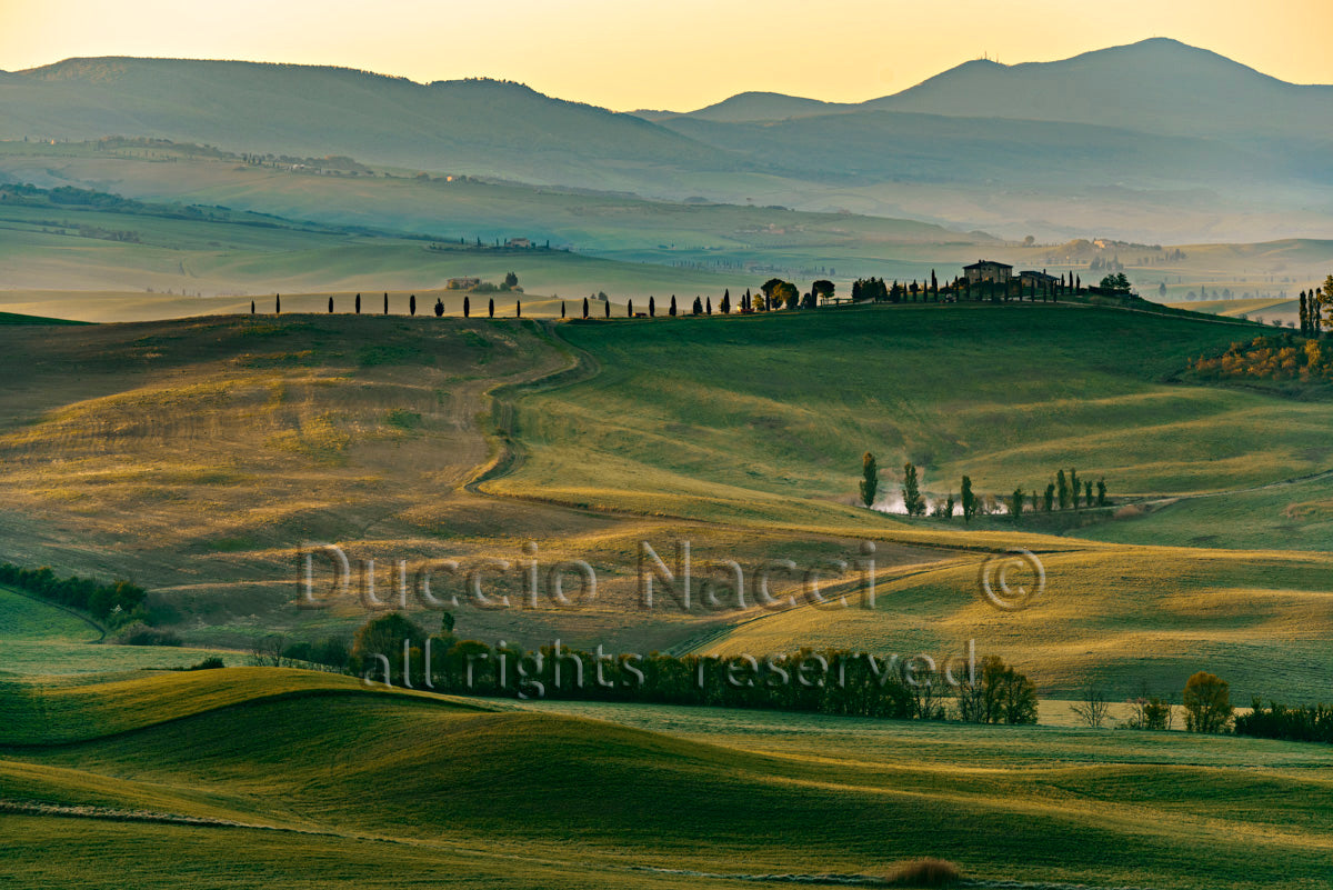 Armony of Val d'Orcia (Copia) - Duccio Nacci