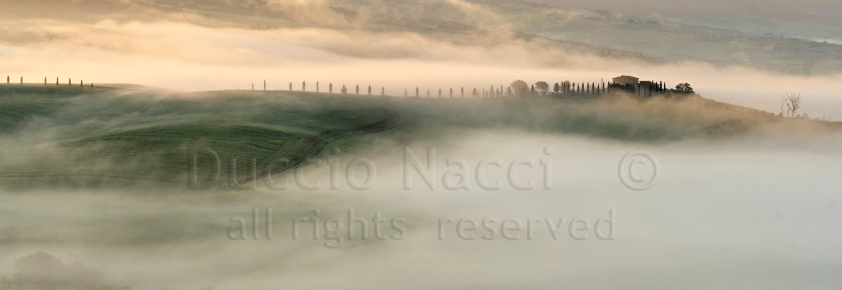 Morning in Val d'Orcia(Copia) - Duccio Nacci