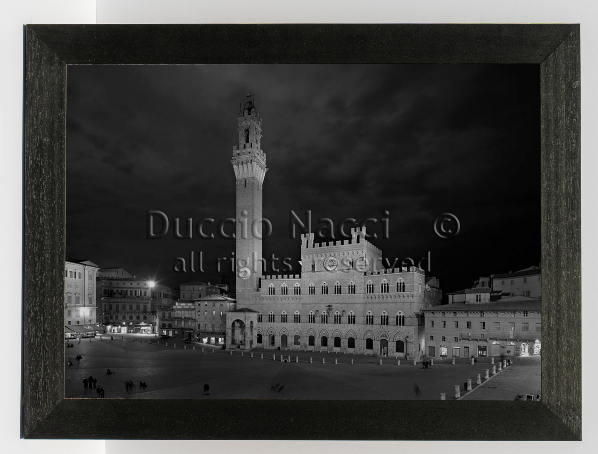 Piazza del Campo - Siena - Duccio Nacci