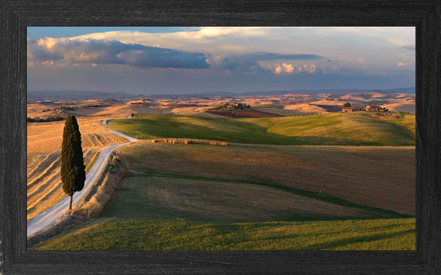 Golden Tuscan Hills - Duccio Nacci