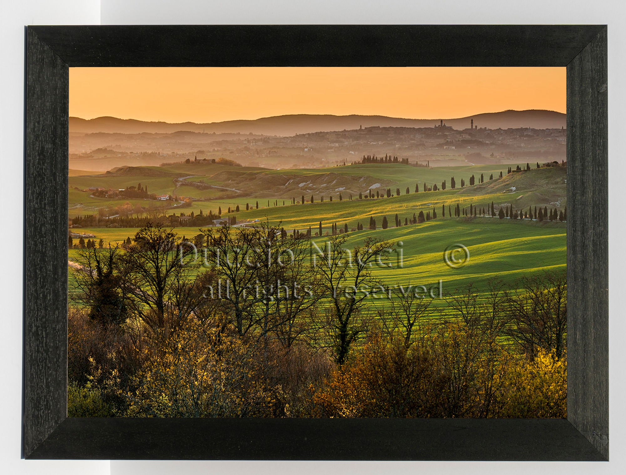 Waves of Land (Copia) - Duccio Nacci