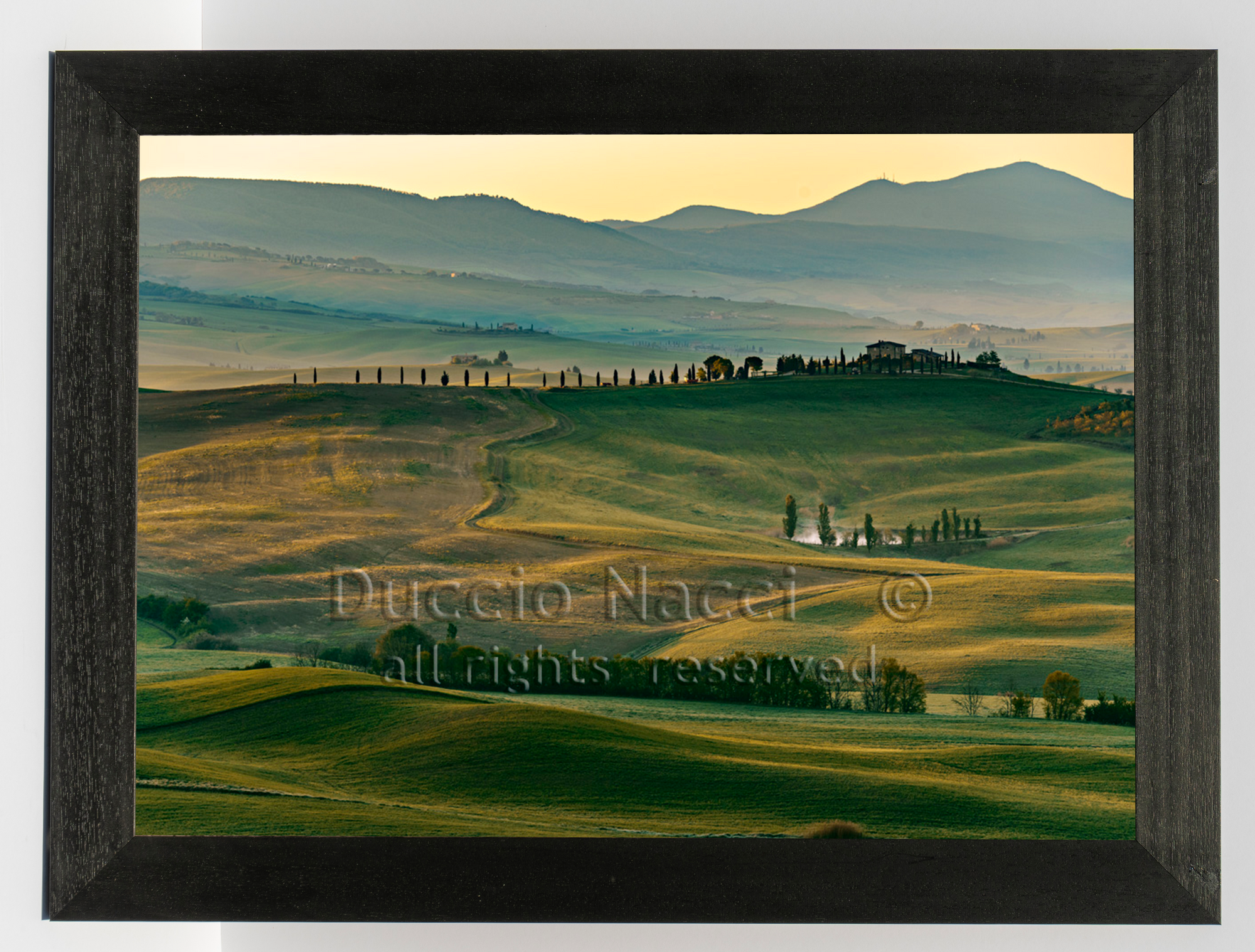 Armony of Val d'Orcia (Copia) - Duccio Nacci