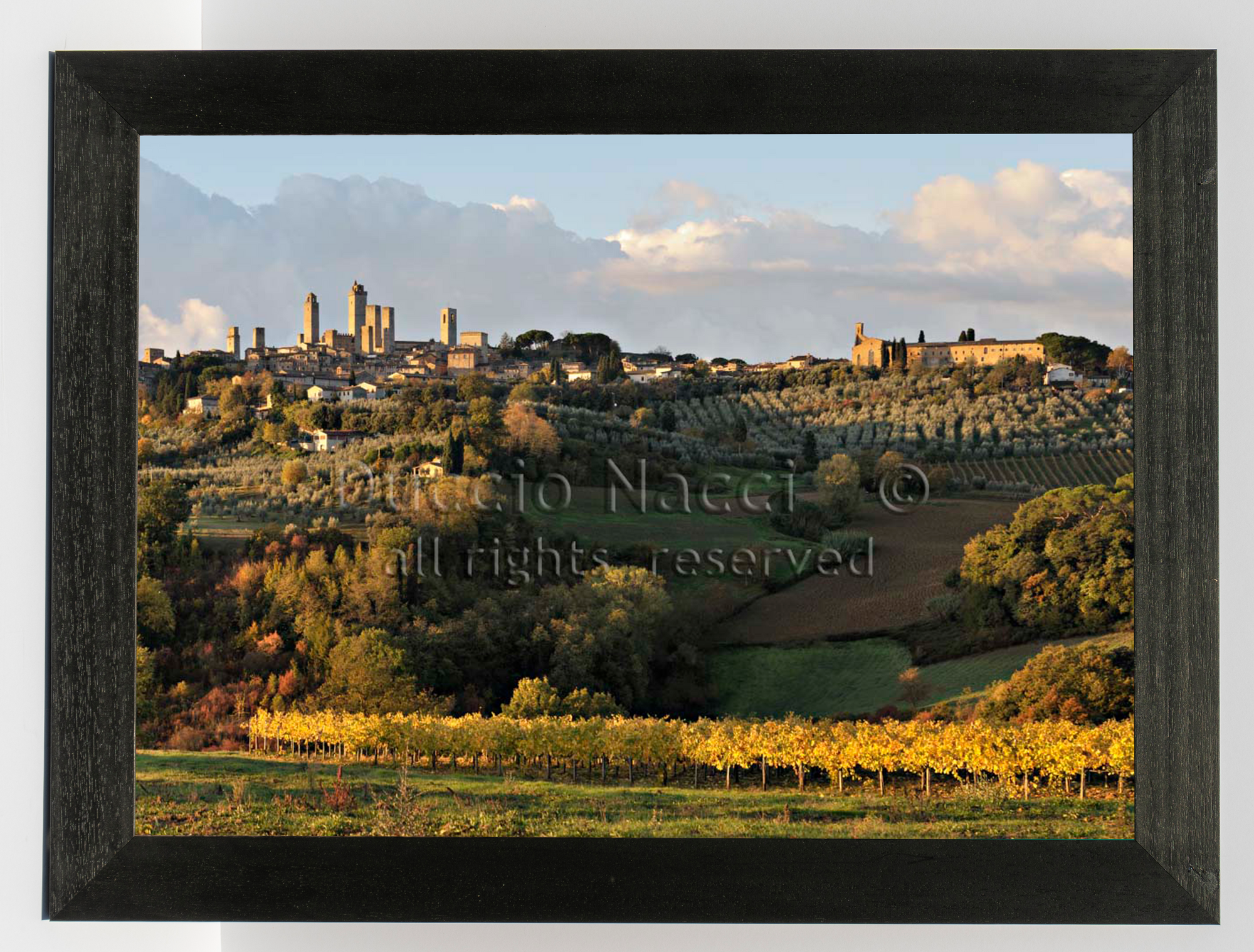 Golden San Gimignano (Copia) - Duccio Nacci