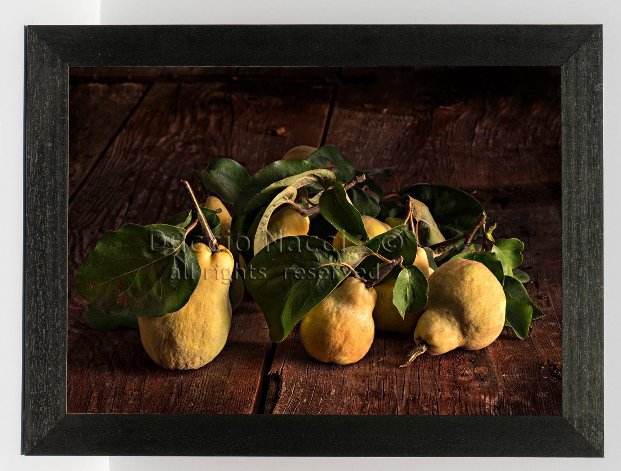 Lemon Light - Duccio Nacci