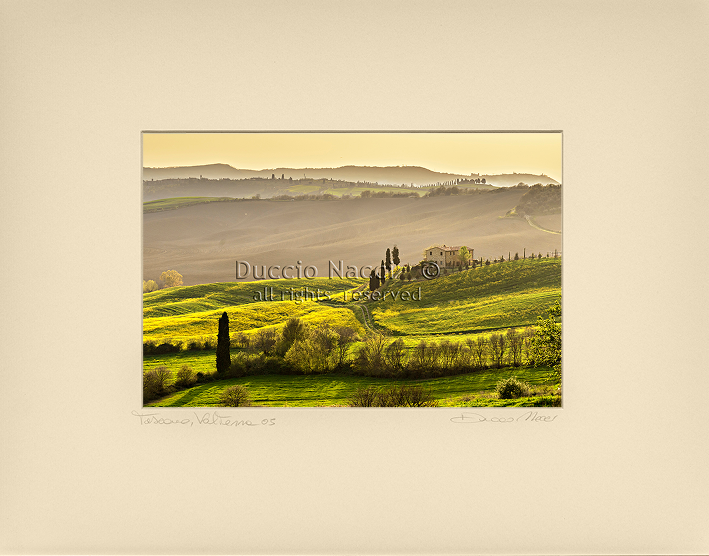 Timeless Countryside - Duccio Nacci